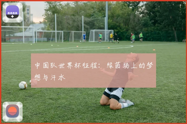 中国队世界杯征程：绿茵场上的梦想与汗水