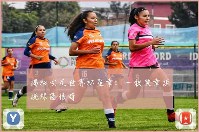 揭秘女足世界杯星章:一枚奖章诉说绿茵传奇