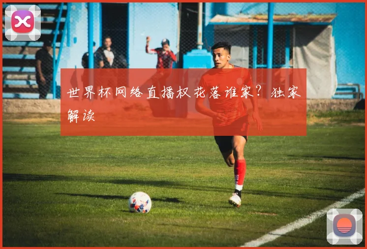世界杯网络直播权花落谁家?独家解读