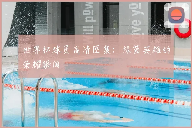 世界杯球员高清图集：绿茵英雄的荣耀瞬间