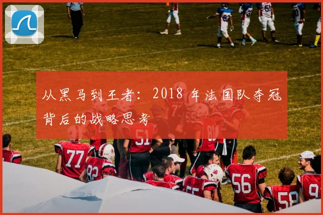 从黑马到王者：2018 年法国队夺冠背后的战略思考
