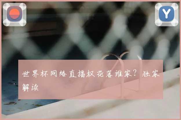 世界杯网络直播权花落谁家?独家解读