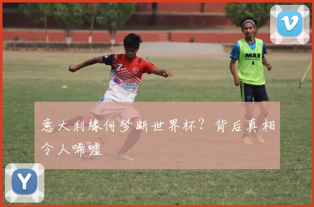 意大利缘何梦断世界杯？背后真相令人唏嘘