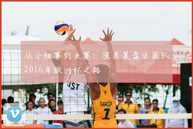 从小组赛到决赛：深度复盘法国队2016年欧洲杯之路