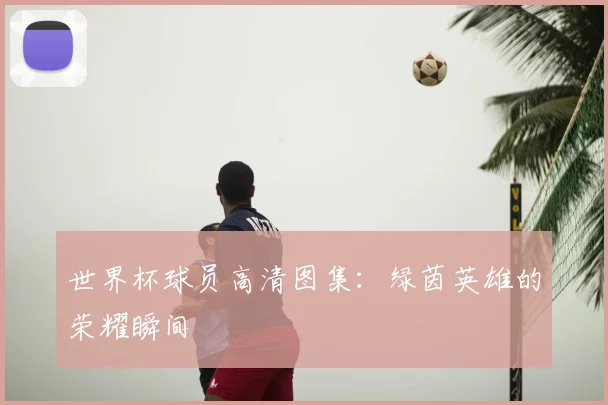 世界杯球员高清图集：绿茵英雄的荣耀瞬间