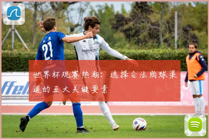 世界杯观赛热潮：选择合法购球渠道的五大关键要素