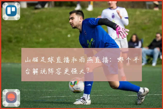 山猫足球直播和雨燕直播：哪个平台解说阵容更强大？
